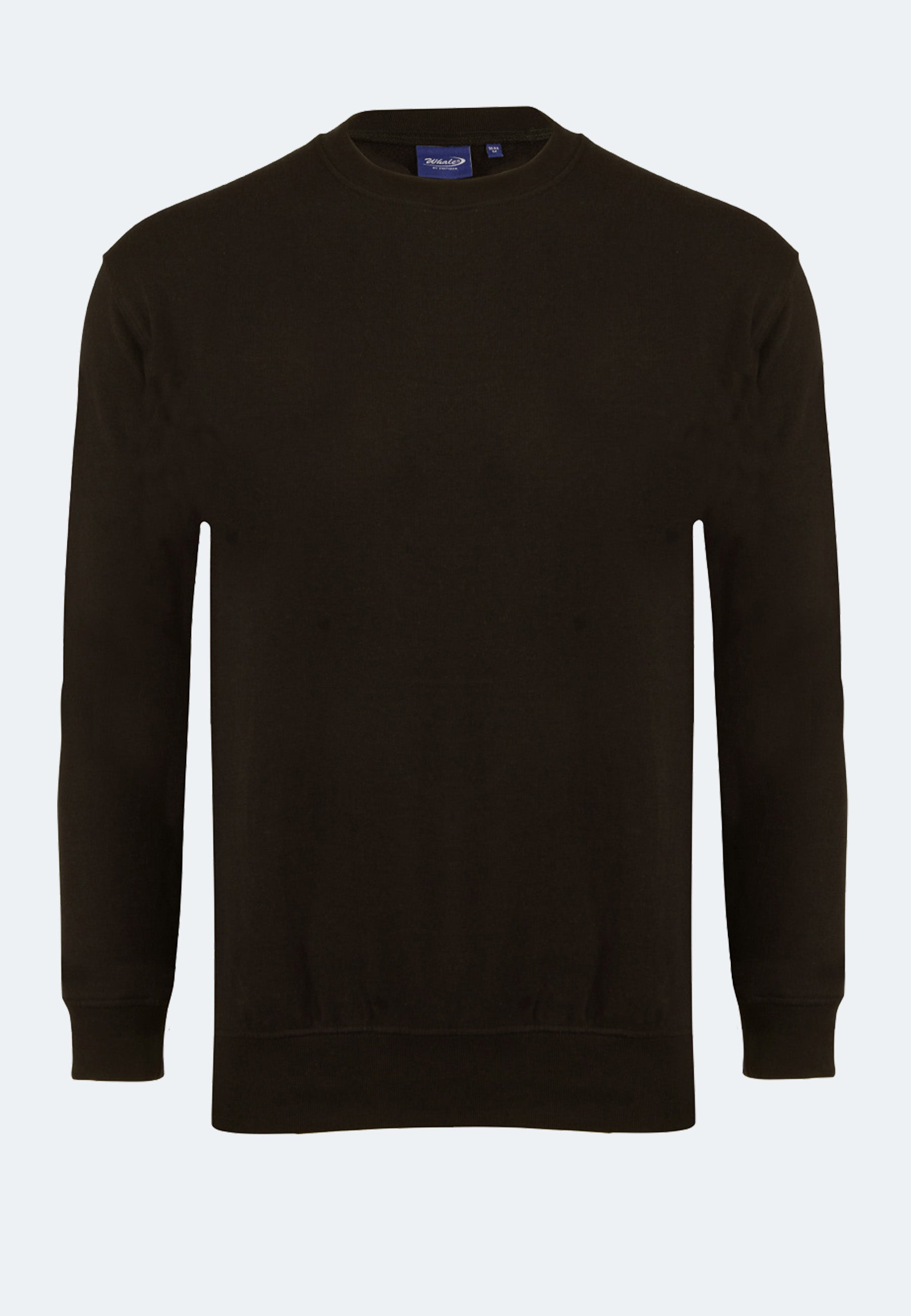 Switcher manches longues couleur baleine/arsenic
