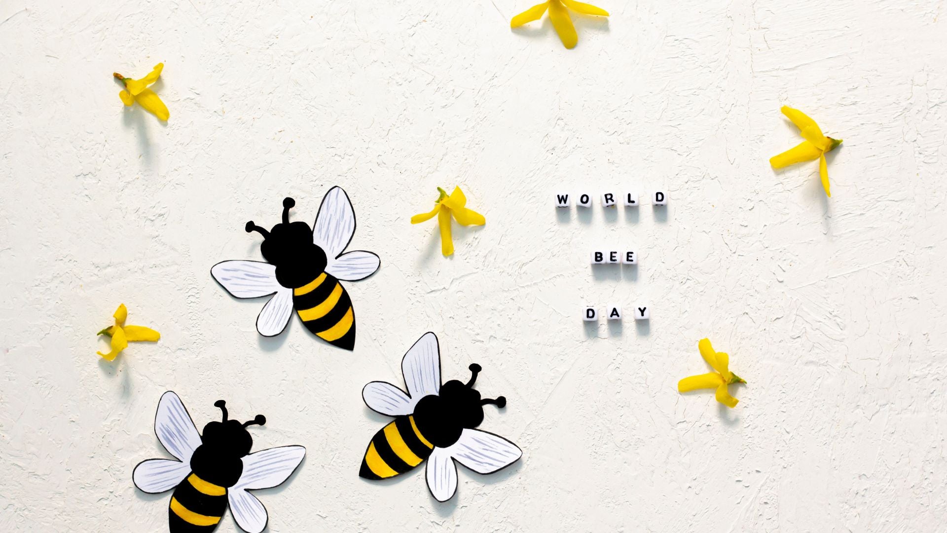 Abeilles conscientes, abeilles actives : comment Switcher favorise-t-il la protection de la nature ?