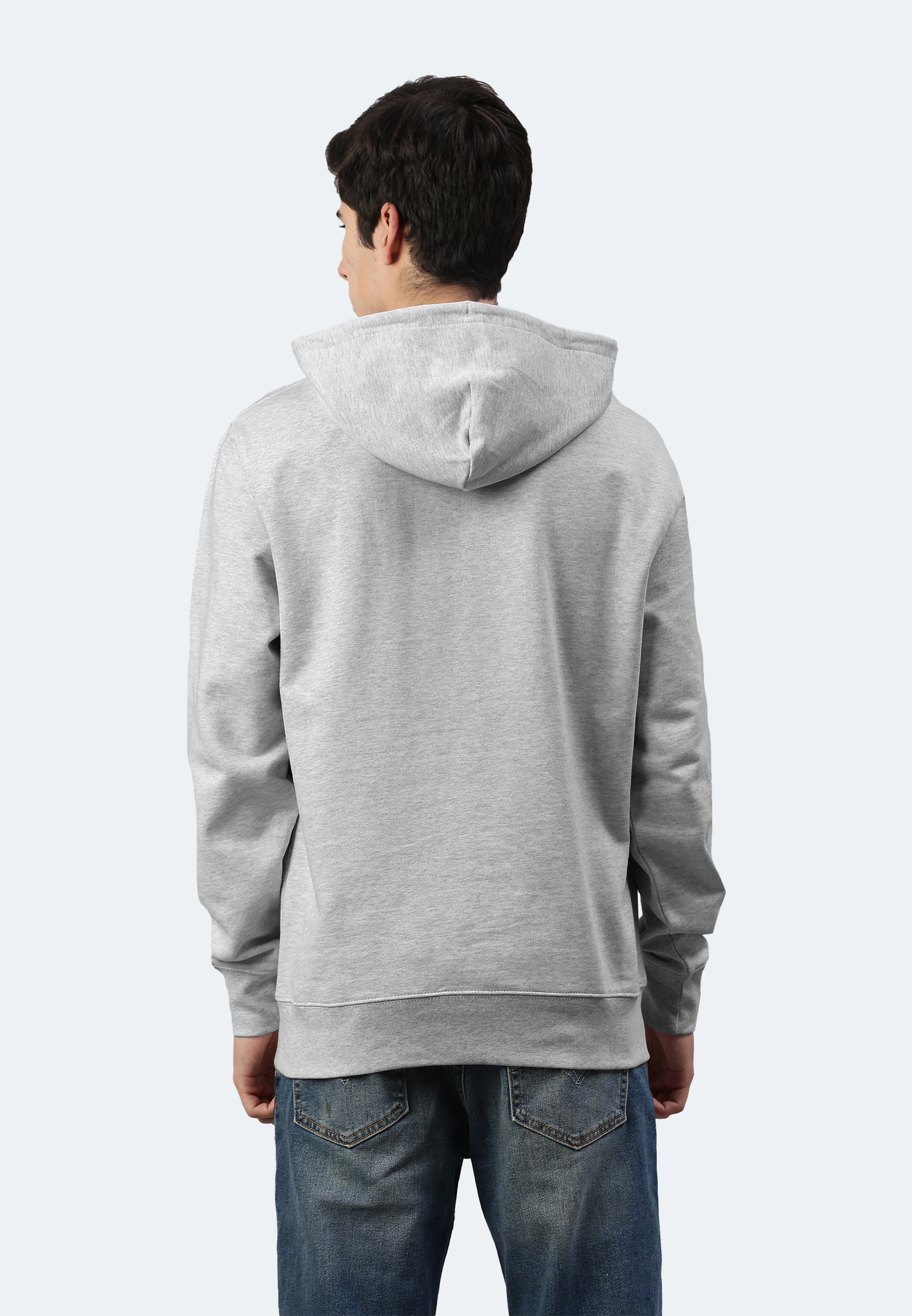 Sweat à capuche Switcher homme soho color/gris chine