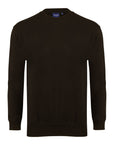 Switcher manches longues couleur baleine/arsenic