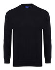 Switcher manches longues couleur baleine/marine