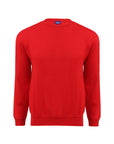 Switcher manches longues whale color/rouge